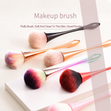 Dust brush